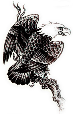 

gemmas Fashion Eagle & Branch(Eagle & Branch)