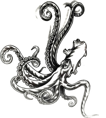 

gemmas Fashion Octopus(Octopus)