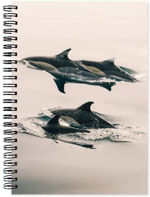 

Little Jaipur A5 Note Book(Designer, Multicolor)