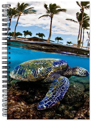 

Little Jaipur A5 Note Book(Designer, Multicolor)