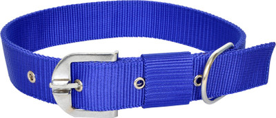 

Supply King Durable, Double Layred Dog Everyday Collar(Small, Blue)