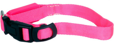 

Tradesk Dog & Cat Show Collar(, Pink