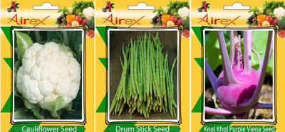 Airex Cauliflower, Drum Stick, Knol Khol Purple Viena Vegetables Seed (Pack Of 20 Seed Cauliflower + 15 Drum Stick + 20 Knol Khol Purple Viena Seed) Seed(20 per packet)