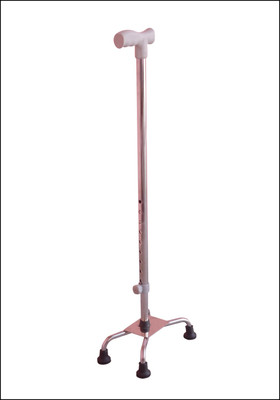 

SAURASHTRA DH22 Walking Stick