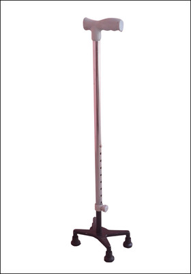 

SAURASHTRA DH17 Walking Stick