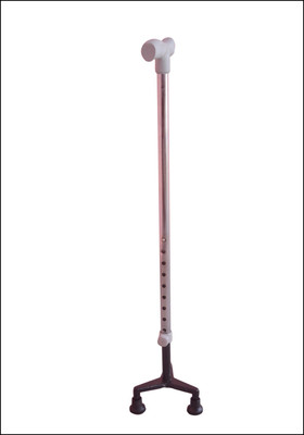 SAURASHTRA DH13 Walking Stick
