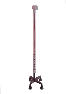 

SAURASHTRA DH16 Walking Stick