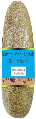 

Zenvista Meditech Loofah, Multicolor