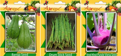 

Airex Banga, Drum Stick, Knol Khol Purple Viena Vegetables Seed (Pack Of 20 Seed Banga + 15 Drum Stick + 20 Knol Khol Purple Viena Seed) Seed(20 per packet)