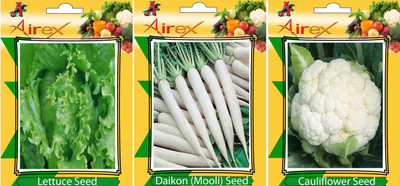 

Airex Lettuce, Daikon, Cauliflower Vegetables Seed + Humic Acid Fertilizer (For Growth of All Plant and Better Responce) 15 gm Humic Acid + Pack Of 30 Seed Lettuce + 30 Daikon + 30 Cauliflower Seed Seed(30 per packet)
