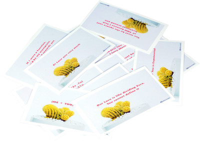 

STAWNCH STAWNCH 16 MATHS REASONS WHY I LOVE YOU GIFT CARDS[SET OF CARDS SIZE 4.5" X 3"],MULTI Greeting Card(Multicolor, Pack of 16)