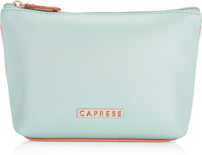 

Caprese Casual Blue Clutch
