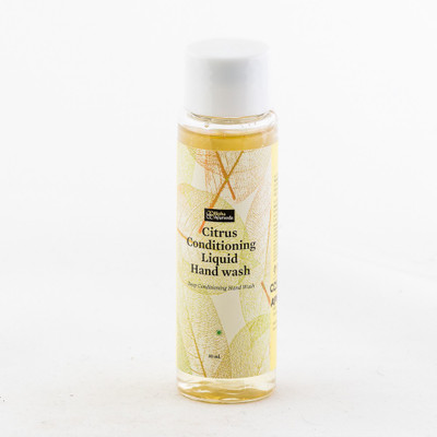 

Bipha Ayurveda Aloevera and Citrus Hand wash(30 ml, Pump Dispenser)