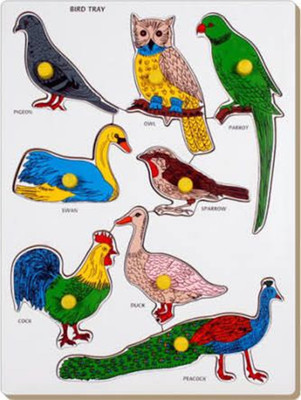 

Aaravision learning toys9(Multicolor)