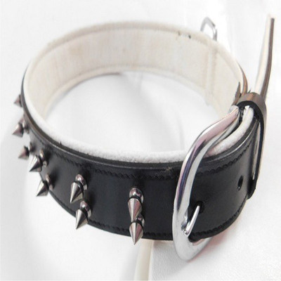 

Skora High Quality Stylish Double Row Spike Leather Dog Head Collar(, Black
