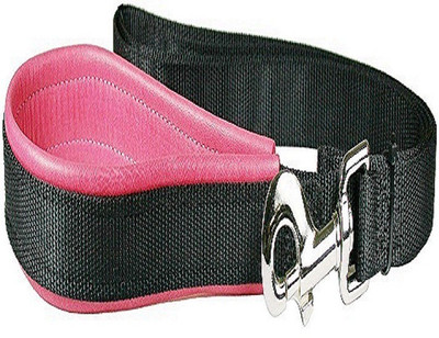 

Skora Dog Collar & Leash(, Pink
