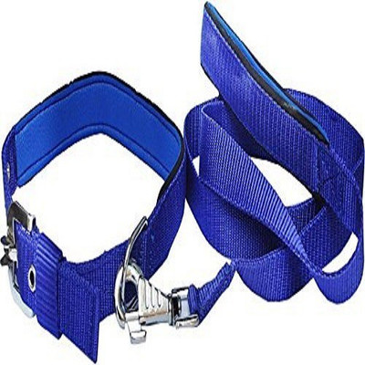 

Skora Dog Collar & Leash(, Blue