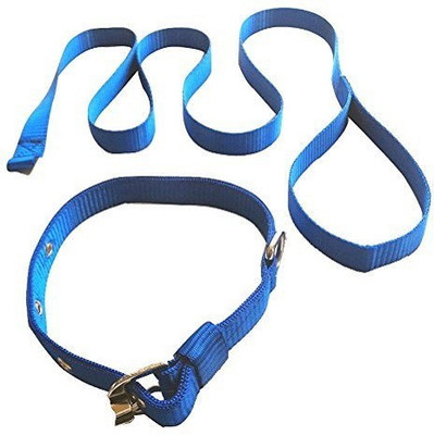 

Skora Dog Collar & Leash(, Blue