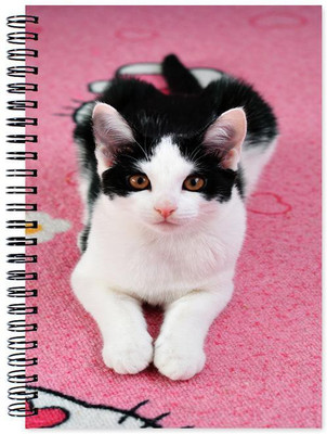 

Little Jaipur A5 Note Book(Designer, Multicolor)