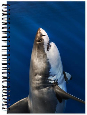 

Chesta Enterprises A5 Note Book(Designer, Multicolor)