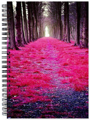

Little Jaipur A5 Note Book(Colorful, Multicolor)