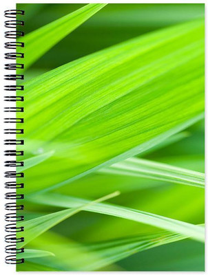 

Little Jaipur A5 Note Book(Designer, Multicolor)