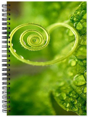

Chesta Enterprises A5 Note Book(Designer, Multicolor)