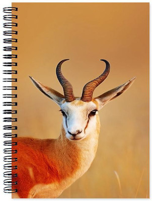 

VenTechno A5 Diary(Animal Designer Wirebound Ruled Paper Sheets Personal and Office Stationary Notebooks Diary, Multicolor)