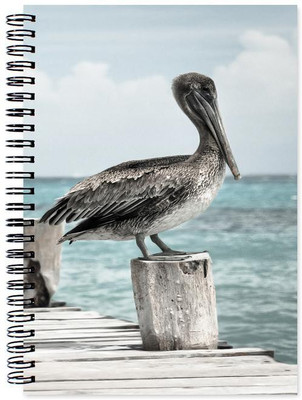 

Chesta Enterprises A5 Note Book(Designer, Multicolor)