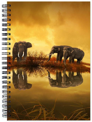 

Little Jaipur A5 Note Book(Designer, Multicolor)