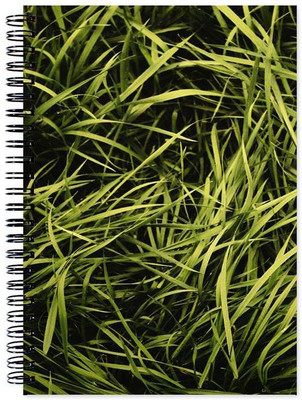 

Chesta Enterprises A5 Note Book(Designer, Multicolor)