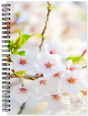 

Chesta Enterprises A5 Note Book(Designer, Multicolor)