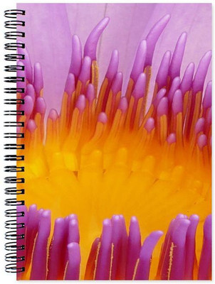 

Chesta Enterprises A5 Note Book(Designer, Multicolor)