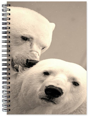 

Chesta Enterprises A5 Note Book(Designer, Multicolor)