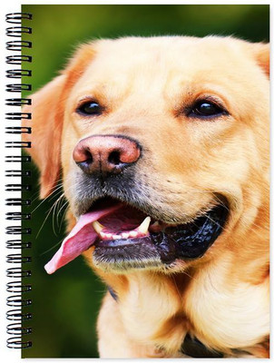

Chesta Enterprises A5 Note Book(Designer, Multicolor)