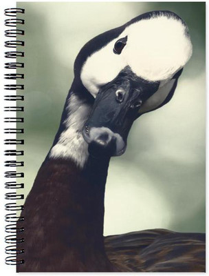 

Little Jaipur A5 Note Book(Designer, Multicolor)