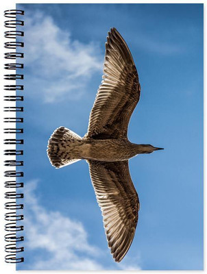 

Chesta Enterprises A5 Note Book(Designer, Multicolor)