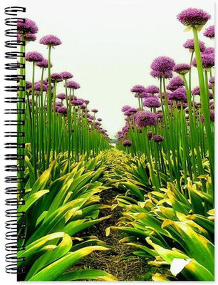 

Chesta Enterprises A5 Note Book(Designer, Multicolor)