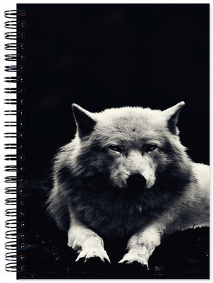 

Little Jaipur A5 Note Book(Designer, Multicolor)
