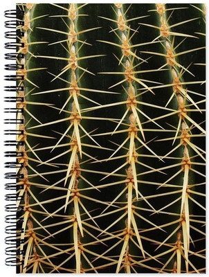 

Chesta Enterprises A5 Note Book(Designer, Multicolor)