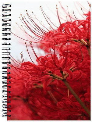 

Little Jaipur A5 Note Book(Flower, Multicolor)