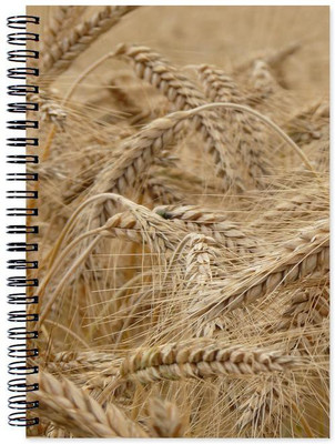 

Chesta Enterprises A5 Note Book(Designer, Multicolor)