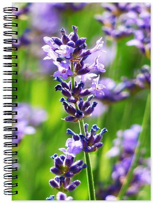

Chesta Enterprises A5 Note Book(Designer, Multicolor)