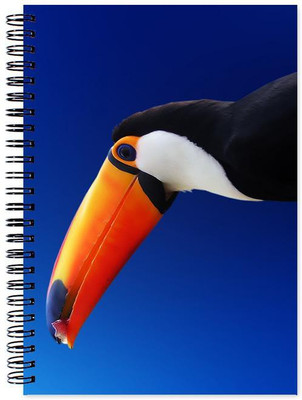 

Chesta Enterprises A5 Note Book(Designer, Multicolor)