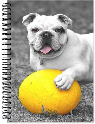 

Chesta Enterprises A5 Note Book(Designer, Multicolor)