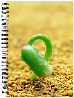 

Chesta Enterprises A5 Note Book(Designer, Multicolor)