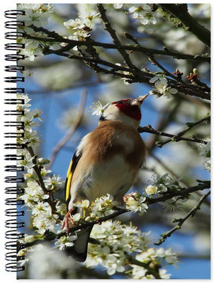

Little Jaipur A5 Note Book(Animal, Multicolor)