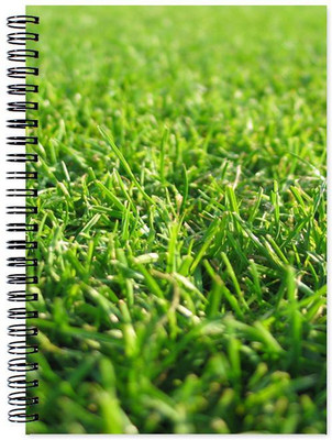 Chesta Enterprises A5 Note Book(Designer, Multicolor)