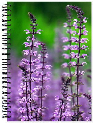 

Little Jaipur A5 Note Book(Designer, Multicolor)