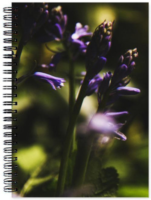 

Little Jaipur A5 Note Book(Designer, Multicolor)
